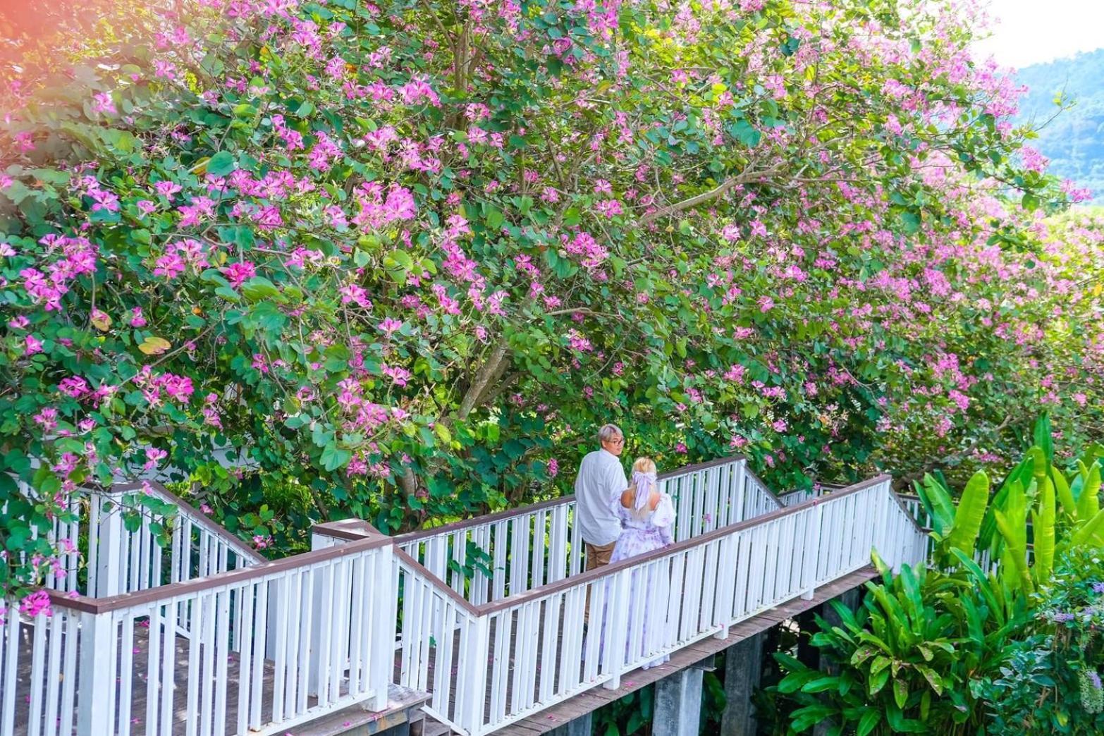 Vivace Khaoyai Hotel Mu Si Ngoại thất bức ảnh